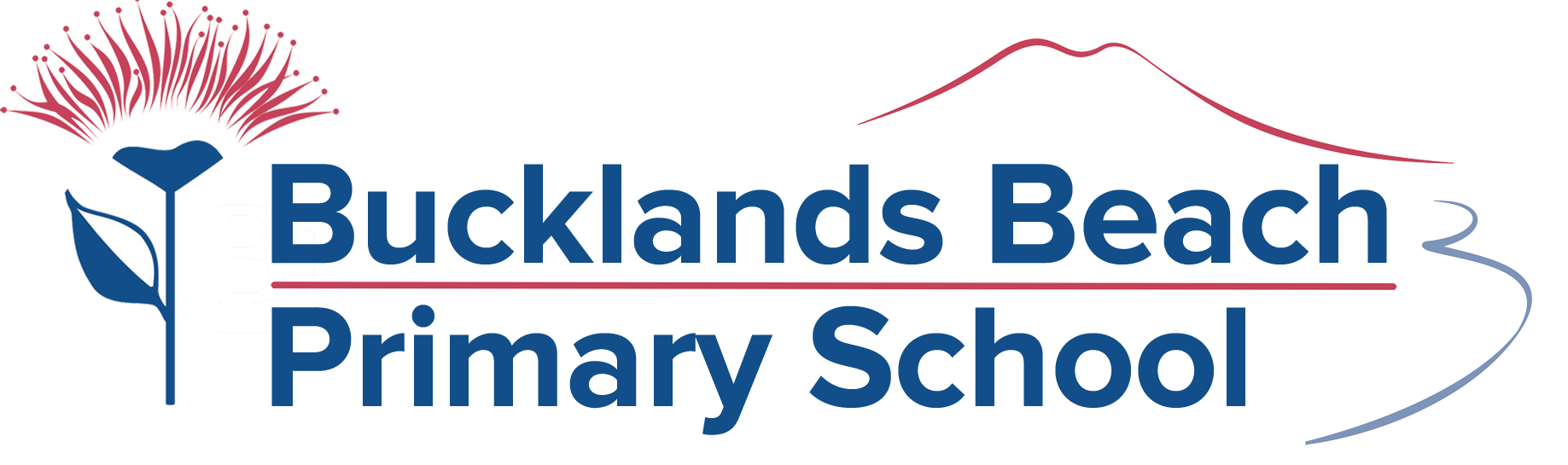 Buckland Beach Primary School
